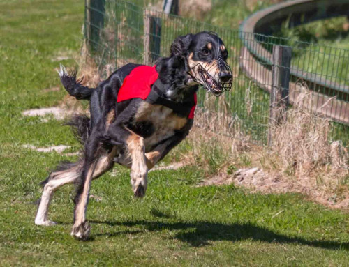 Bahn-Training